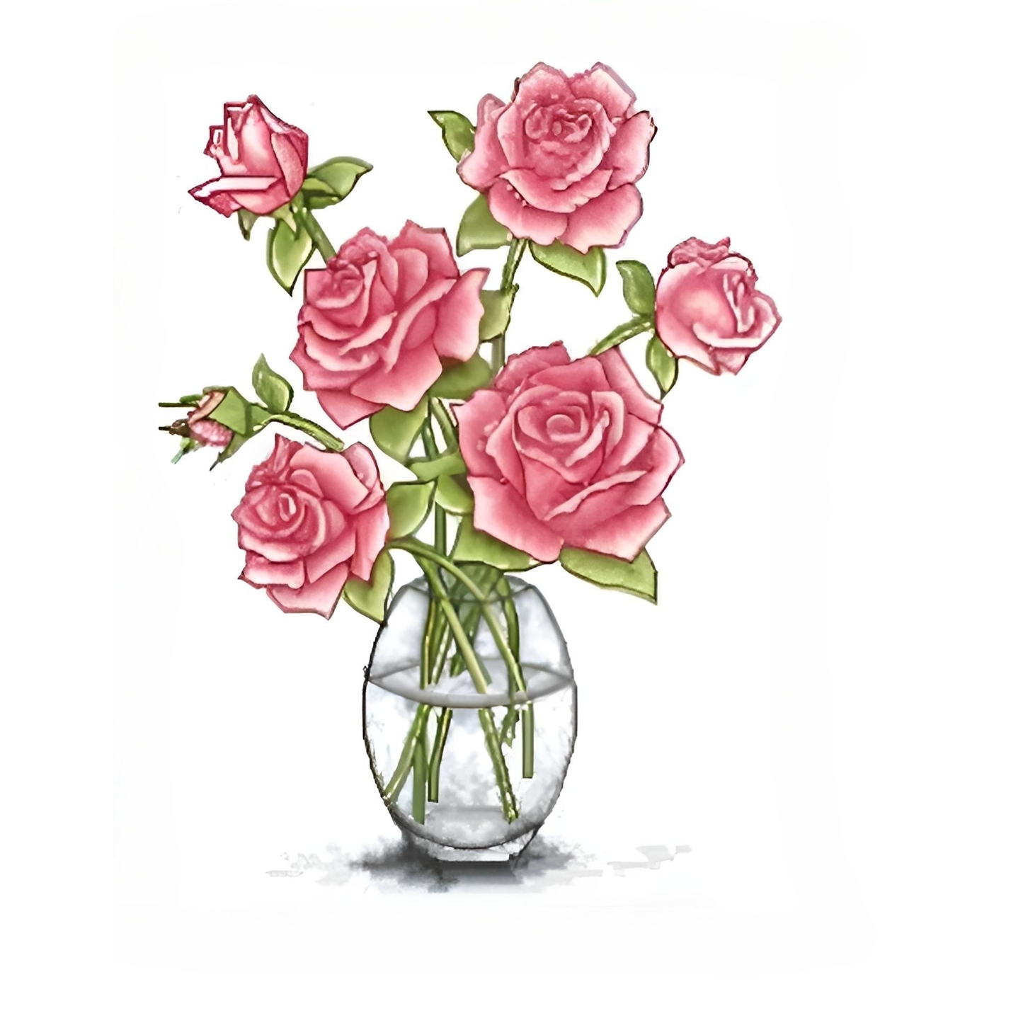 Rose in Vase